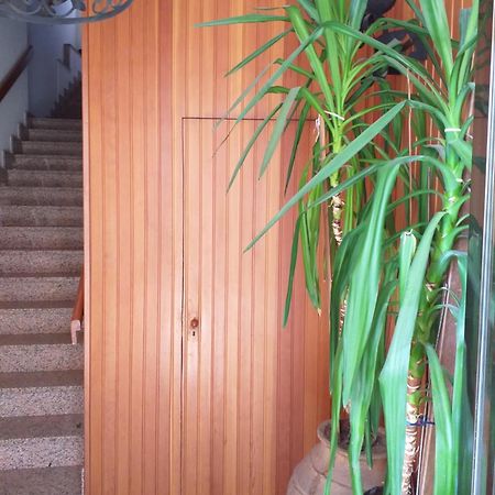 Biblioteca Municipal Apartman Zamora Kültér fotó